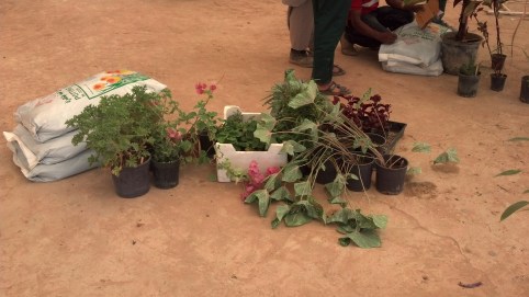 Beautiful Garden checkout