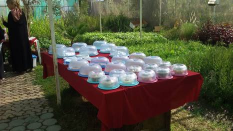 beautGarden breakfast1