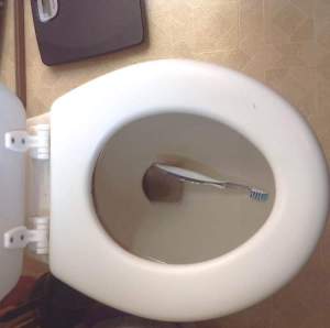 Toothbrush in toilet