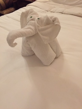 Elephant Towel Art
