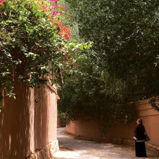 Shaded lane off the Wadi Hanifa