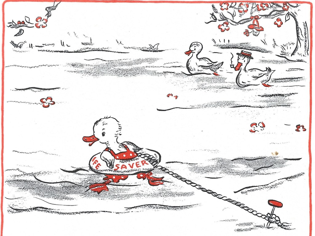 Seven Diving Ducks: Little Duck's first swimming lesson and Dad's disapproval